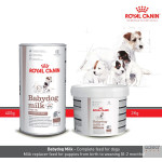 Royal Canin Babydog Milk | Alimento Superpremium