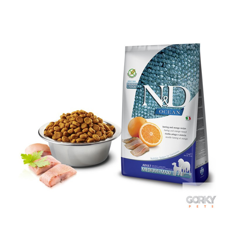 N&D Dog (GF) Adult Medium-Maxi - Arenque | GORKY PETS