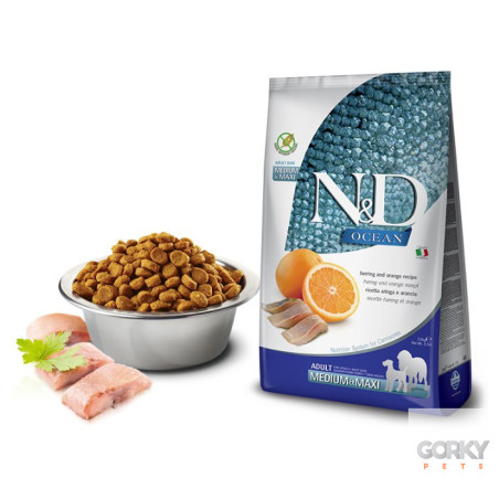 N&D Dog (GF) Adult Medium-Maxi - Arenque | GORKY PETS