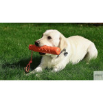 KONG Training Dummy | GORKY PETS