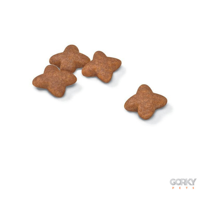 Royal Canin Mini Adult | Ração Superpremium