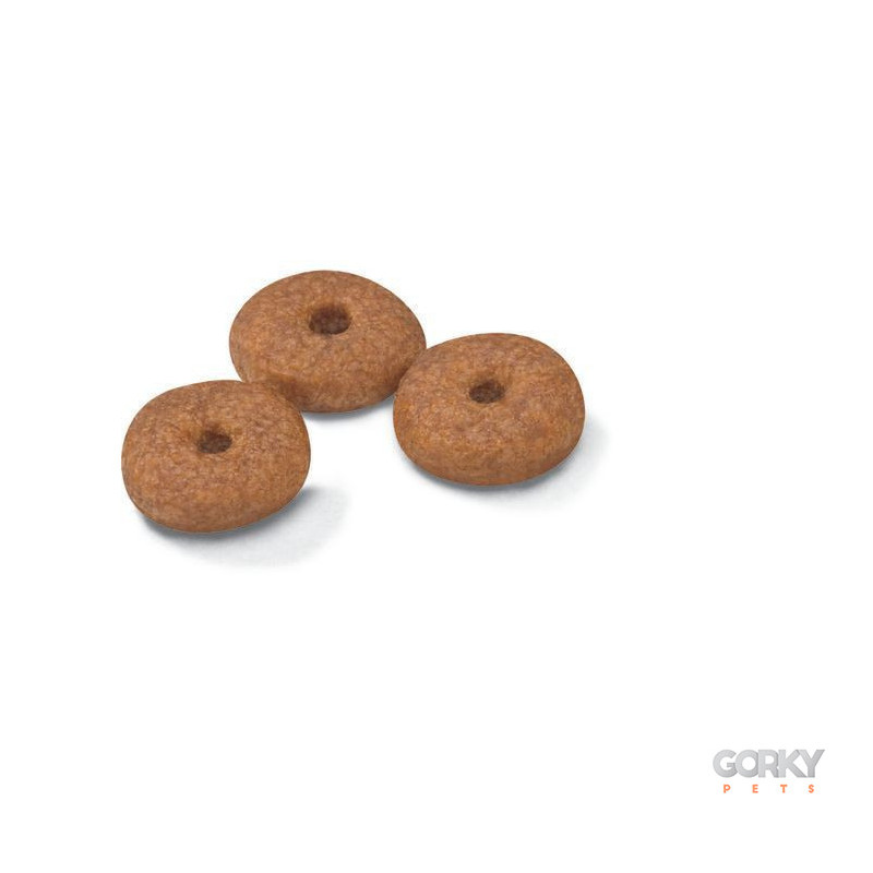 Royal Canin Mini Ageing 12+ | Ração Superpremium Sénior