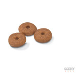 Royal Canin Mini Ageing 12+ | Ração Superpremium Sénior