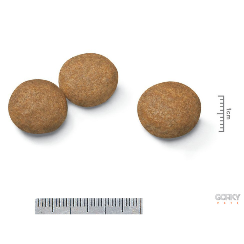 Royal Canin Medium Adult | Ração Superpremium