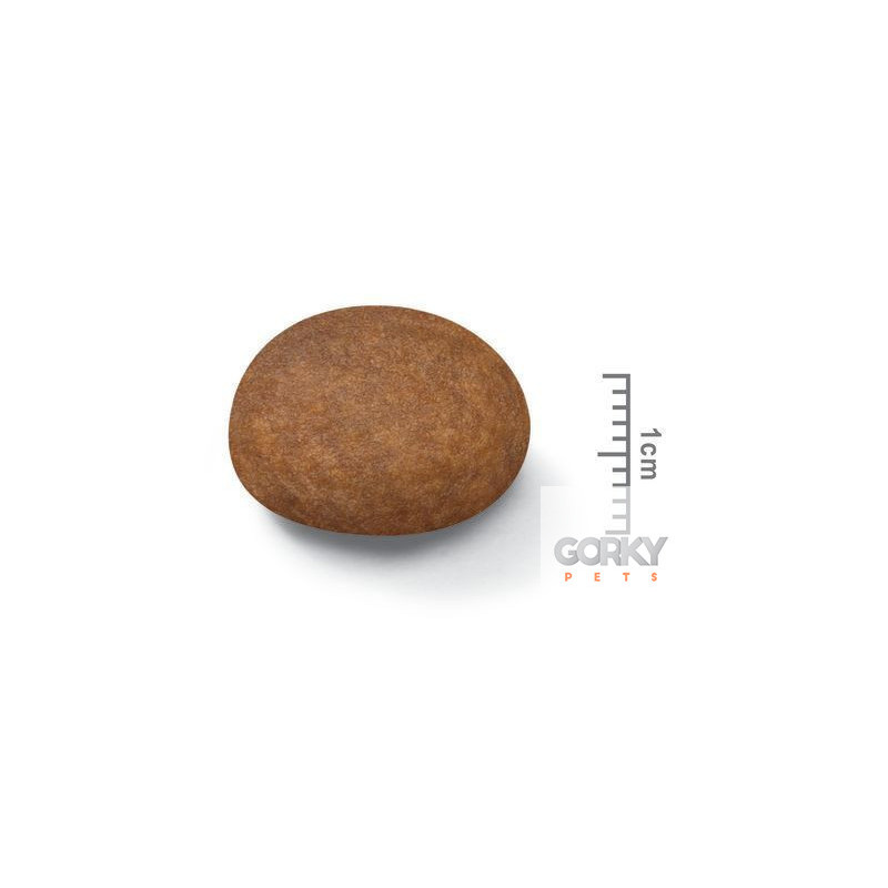 Royal Canin Medium Adult 7+ | Ração Superpremium Sénior