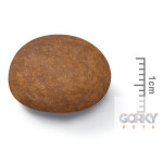 Royal Canin Medium Adult 7+ | Ração Superpremium Sénior