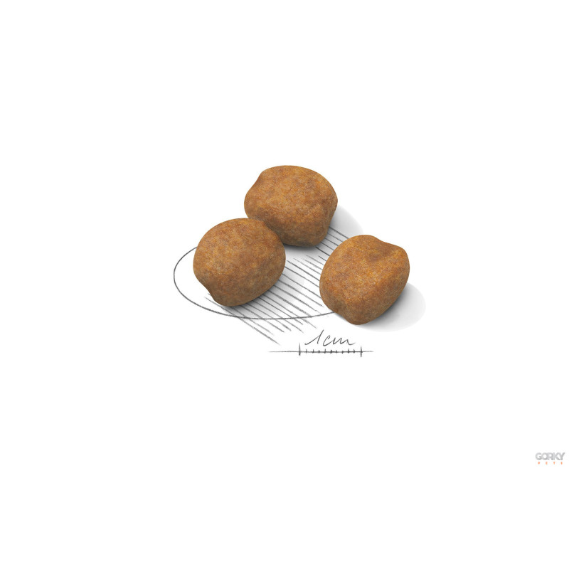 Royal Canin Giant Puppy | Ração Superpremium