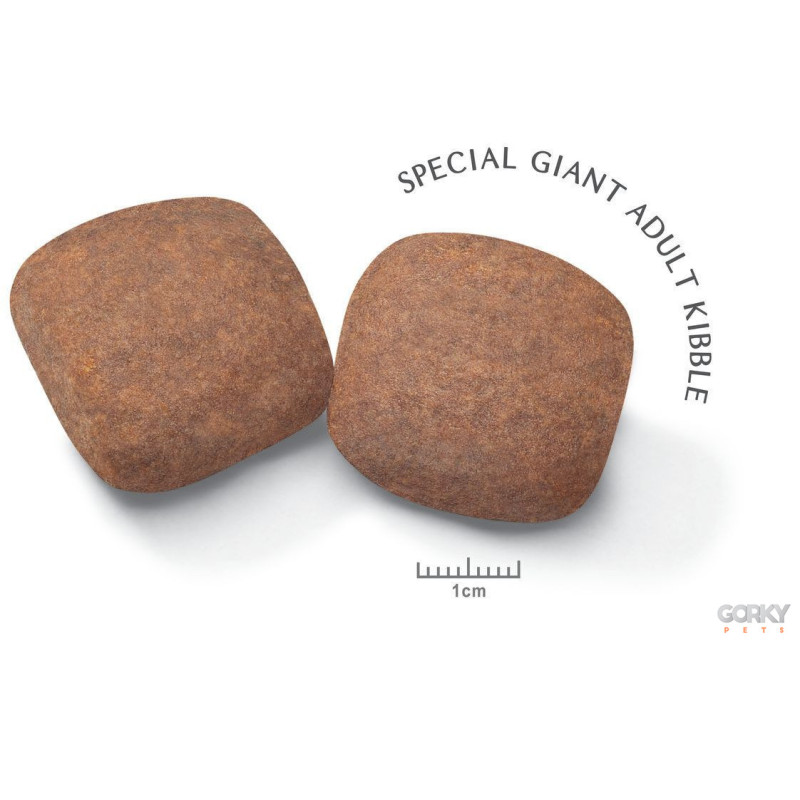 Royal Canin Giant Adult | Ração Superpremium Articulações