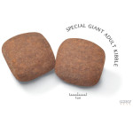 Royal Canin Giant Adult | Ração Superpremium Articulações