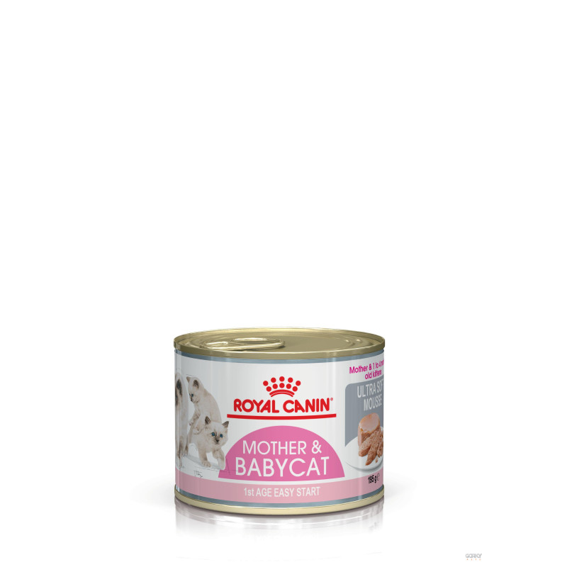 royal canin mother & babycat mousse, alimento húmido gatinhos 1-4 meses, ração húmida gatas gestação lactação, comida húmida des