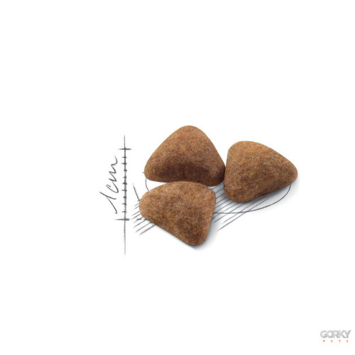 Royal Canin Indoor 27 – Ração Superpremium para Gatos de Interior