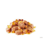 Royal Canin Ageing 12+ Jelly – Alimento Húmido Superpremium para Gatos Sénior