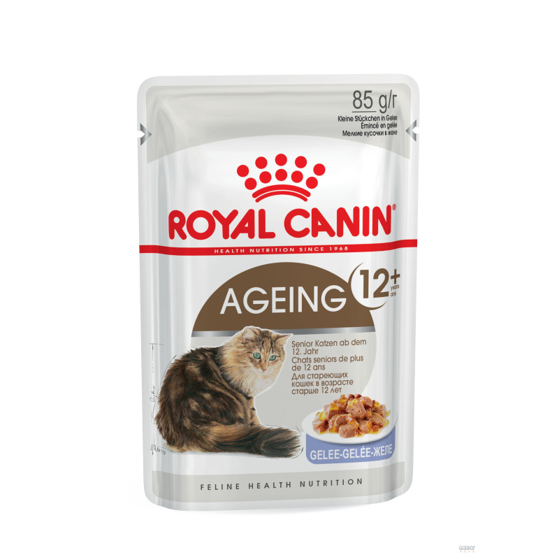 Royal Canin Ageing 12+ Jelly – Alimento Húmido Superpremium para Gatos Sénior