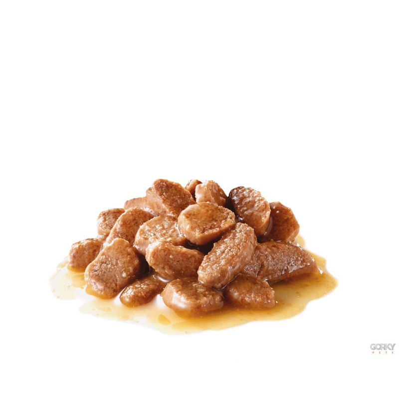 Royal Canin Ageing 12+ Gravy – Alimento Húmido Superpremium para Gatos Sénior