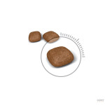 Royal Canin Urinary Care – Ração Seca Superpremium para Saúde Urinária de Gatos Adultos