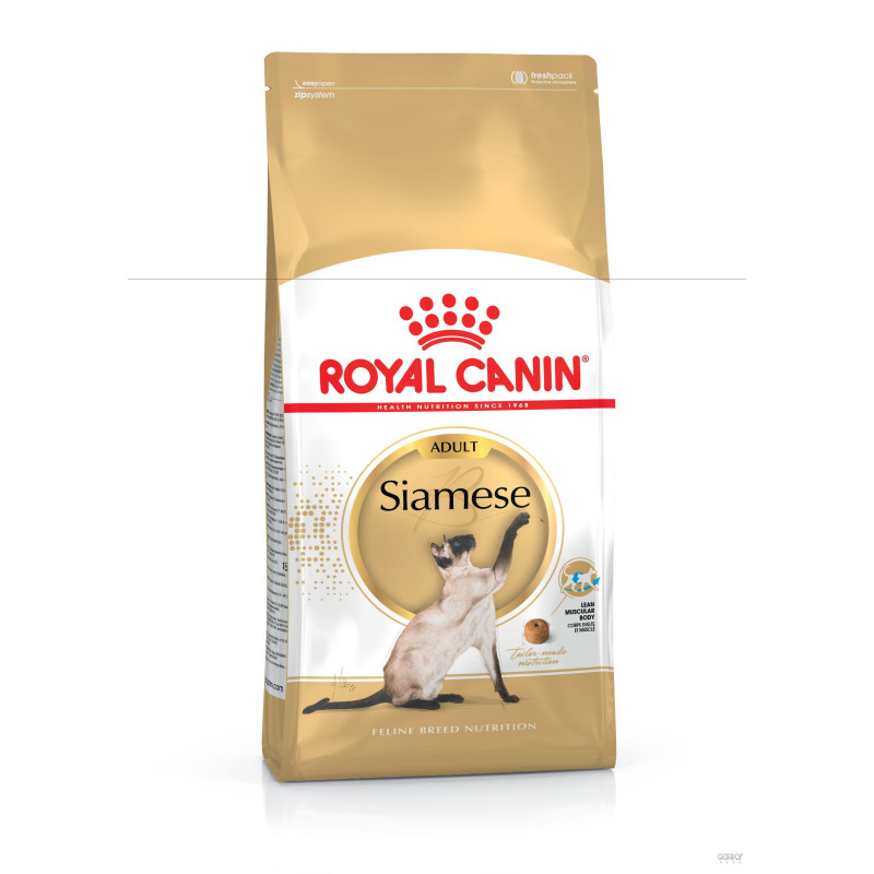 Royal Canin Maine Coon Adult – Ração Seca Superpremium para Gatos Maine Coon