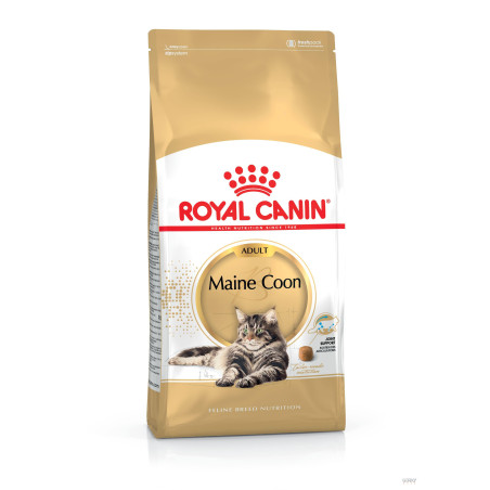 Royal Canin Maine Coon Adult – Ração Seca Superpremium para Gatos Maine Coon