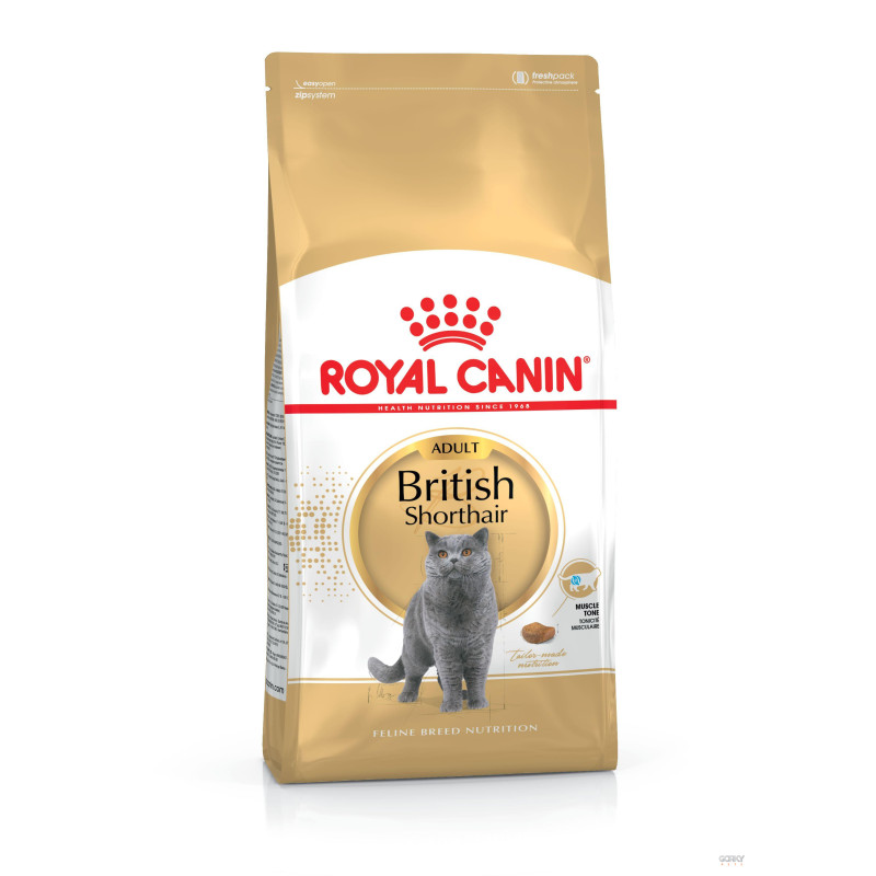 Royal Canin British Shorthair Adult – Ração Seca Superpremium para Adultos
