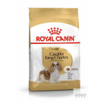 Royal Canin Cavalier King Charles Adult | Ração Superpremium Coração