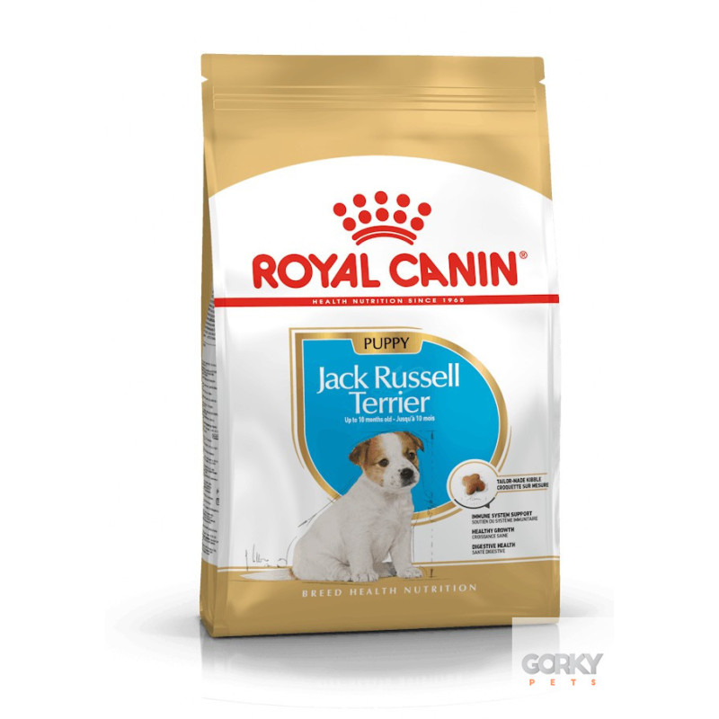 Royal Canin Jack Russell Terrier Junior | Ração Superpremium