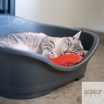 Cama Plástico SLEEPER - Stefanplast