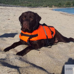 Colete Salva-Vidas CROCI | GORKY PETS