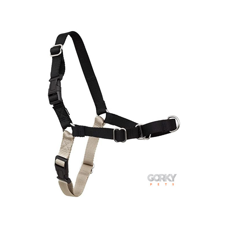 Peitoral EASY-WALK + Trela - PETSAFE | GORKY PETS