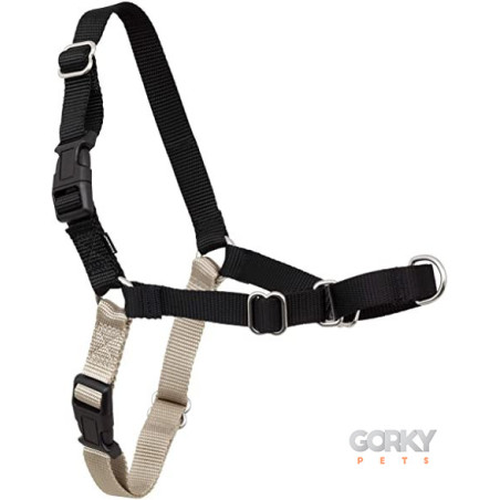 Peitoral EASY-WALK + Trela - PETSAFE | GORKY PETS