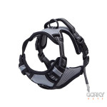 Peitoral Desportivo EASY-WALK - GP Acessórios | GORKY PETS
