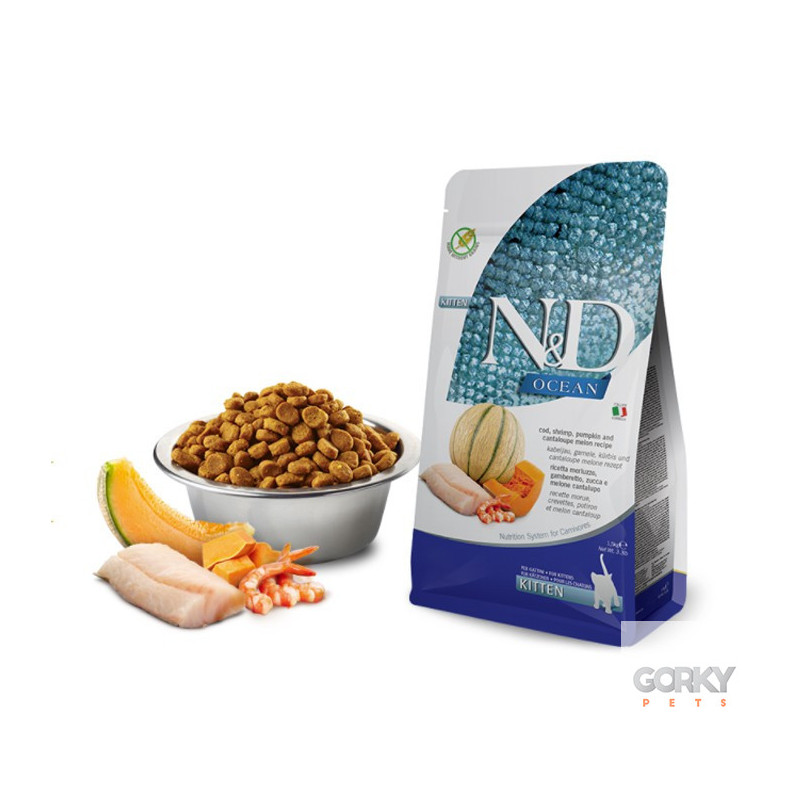 N&D Cat (Ocean) Kitten - Bacalhau, Camarão, Abóbora & Meloa – Ração Sem Cereais