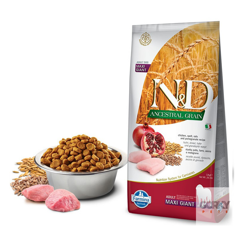 N&D Dog (LG) Adult Giant - Frango | GORKY PETS