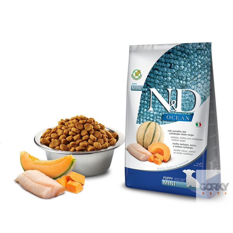 N&D Ocean Dog Puppy Mini Cod, Pumpkin & Cantaloupe | Ração Superpremium