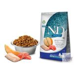 N&D Ocean Dog Adult Mini Salmon, Cod & Cantaloupe | Ração Superpremium