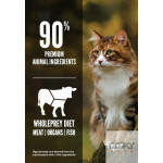 ORIJEN Six Fish - Ração Seca Superpremium para Gatos