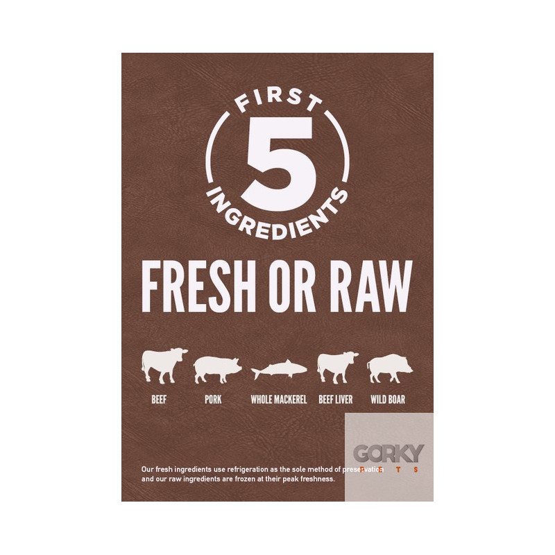 ORIJEN Six Fish - Ração Seca Superpremium para Gatos