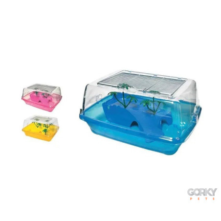 Tartarugueira Pacific