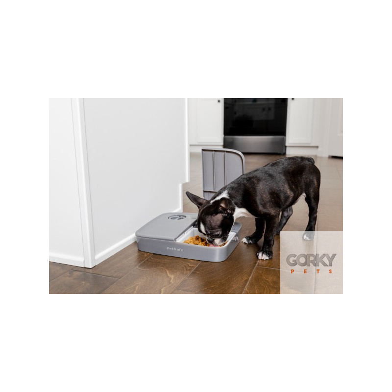 PETSAFE Automatic 2 Meal Pet Feeder| GORKY PETS