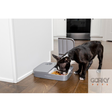 PETSAFE Automatic 2 Meal Pet Feeder| GORKY PETS