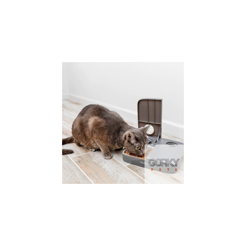 PETSAFE Automatic 2 Meal Pet Feeder| GORKY PETS