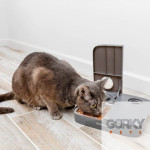 PETSAFE Automatic 2 Meal Pet Feeder| GORKY PETS