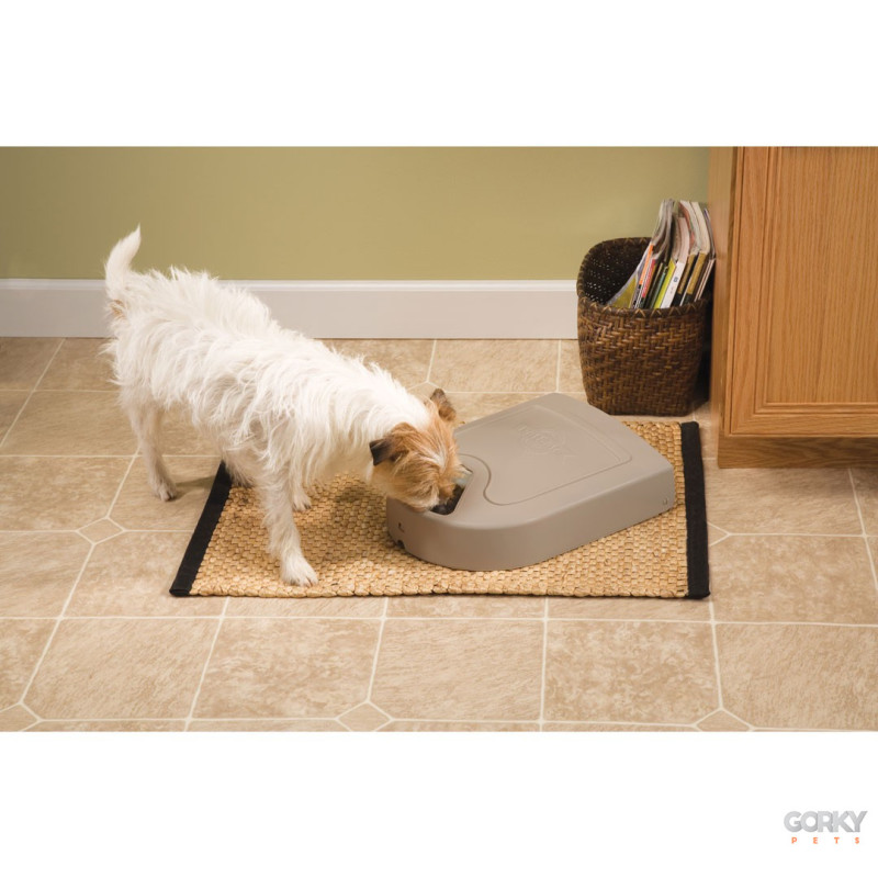 PETSAFE Automatic 5 Meal Pet Feeder| GORKY PETS