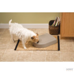 PETSAFE Automatic 5 Meal Pet Feeder| GORKY PETS