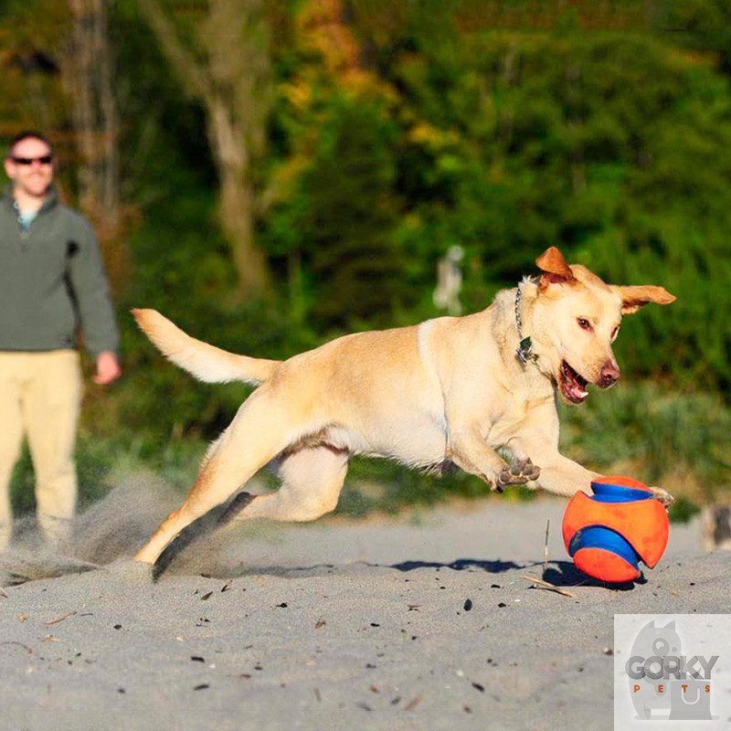 CHUCKIT! Kick Fetch | GORKY PETS