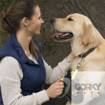 Flexi Giant Neon M 8 metros | GORKY PETS