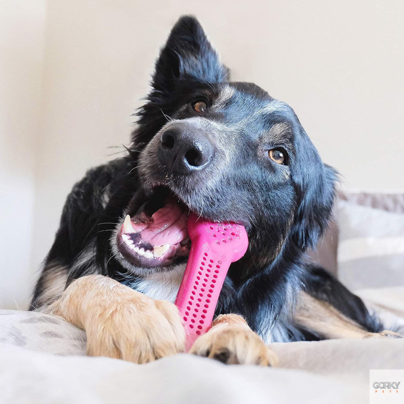 Pet Qwerks Flavorit Brinquedo com Sabor a Bacon | GORKY PETS