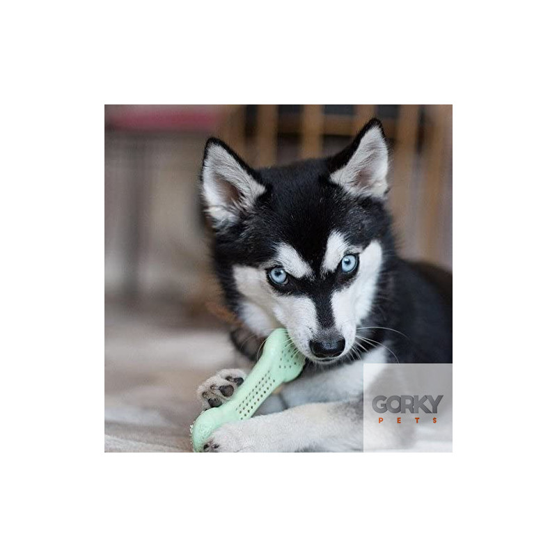 Pet Qwerks Flavorit Brinquedo c/ sabor a Menta | GORKY PETS