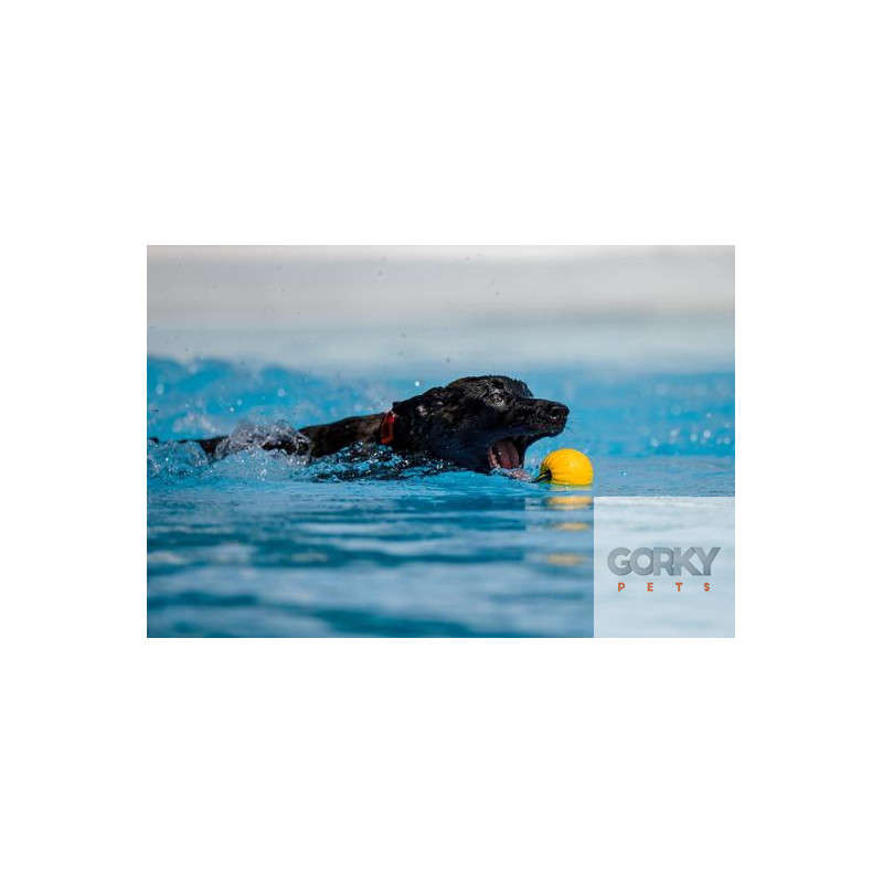 STARMARK Bola de Espuma com Corda Durafoam Ball | GORKY PETS