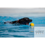 STARMARK Bola de Espuma com Corda Durafoam Ball | GORKY PETS