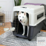 Transportadora GP TRAVEL IATA nº7 - 100cm| GORKY PETS