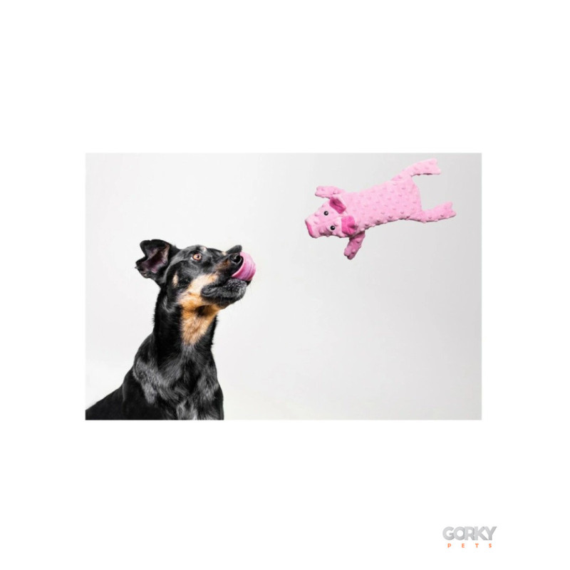 Peluche de Cão para colocar garrafa de plástico | GORKY PETS